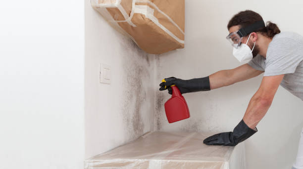 Professional Crawl Space Mold Removal technician working in Elmwood Park, NJ