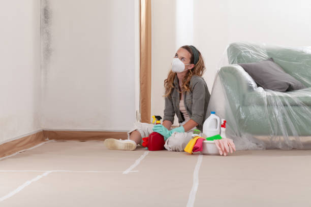 Reliable Crawl Space Mold Removal contractor in Elmwood Park, NJ by WQB Mold Removal